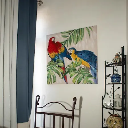 Apartment Studio Central