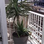 Studio Central Canet-en-Roussillon