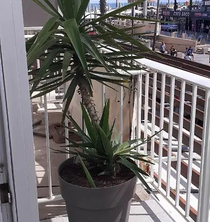 Studio Central Canet-en-Roussillon