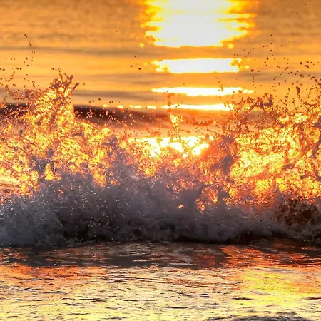 Апартаменты Studio Central *