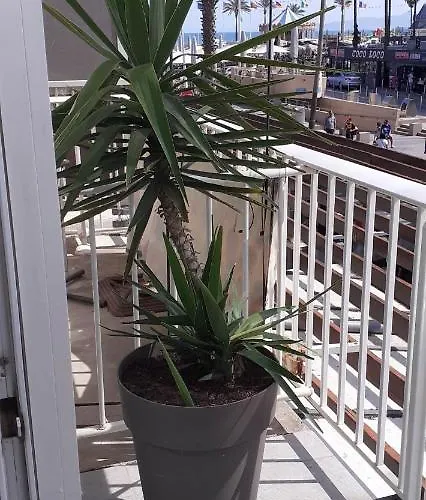 Studio Central Canet-en-Roussillon