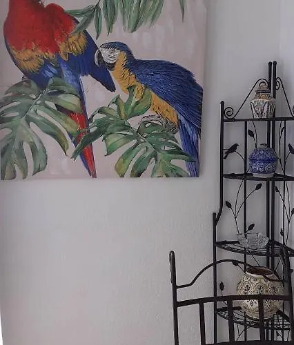 Daire Studio Central