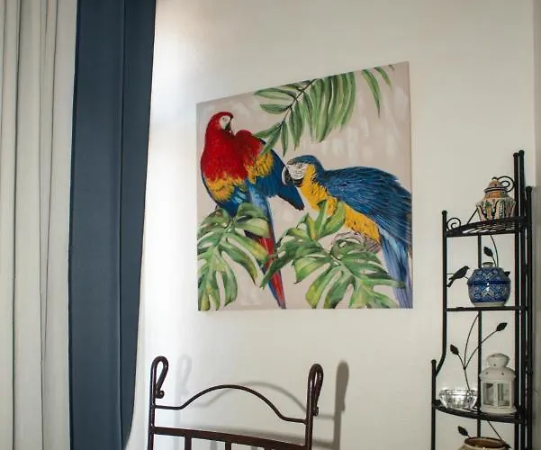 Daire Studio Central