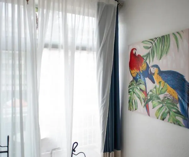 Studio Central * Canet-en-Roussillon