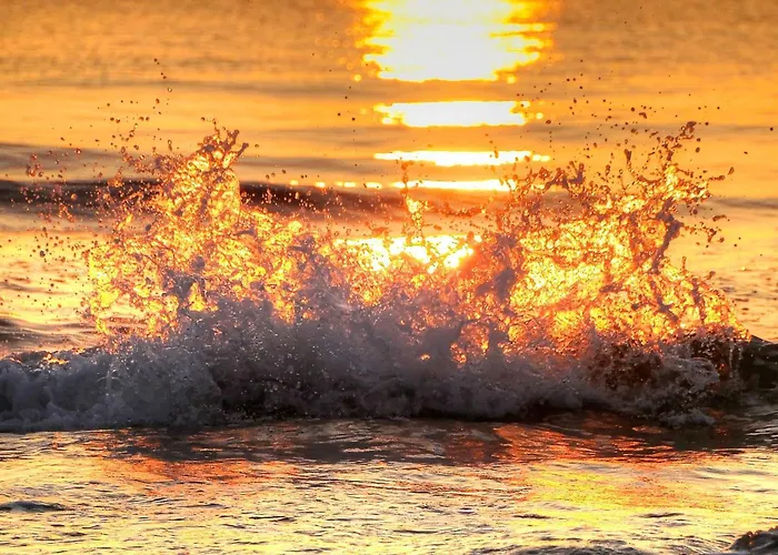 Daire Studio Central *