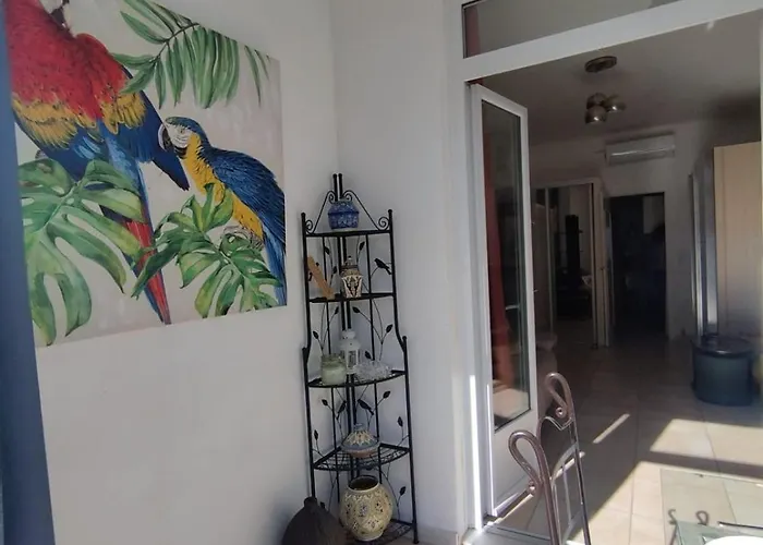 Studio Central Daire *